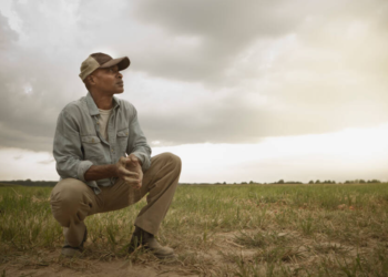 Photo (John Fedele via Getty Images)