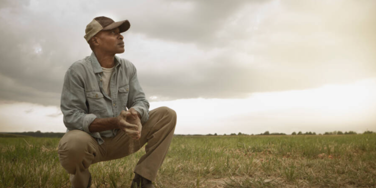 Photo (John Fedele via Getty Images)