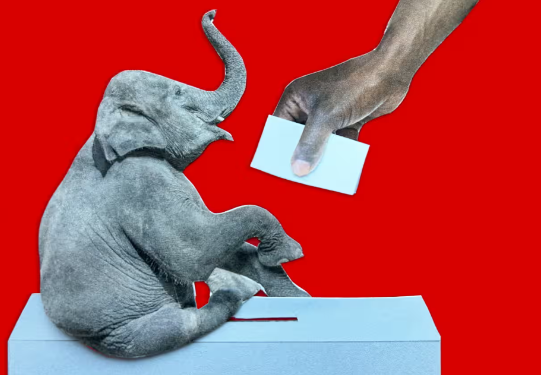 Republicans to descend on Milwaukee – where they’ve been trying to dilute Black voting power