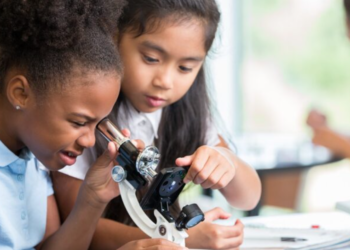 Image Source: Indian Education Diary