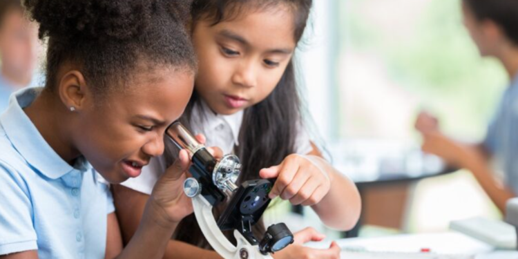 Image Source: Indian Education Diary