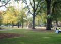 The historic Horseshoe, located at the heart of the University of South Carolina campus in Columbia (Wikimedia Commons).