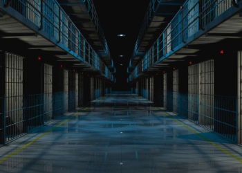 Image Source: d-mars