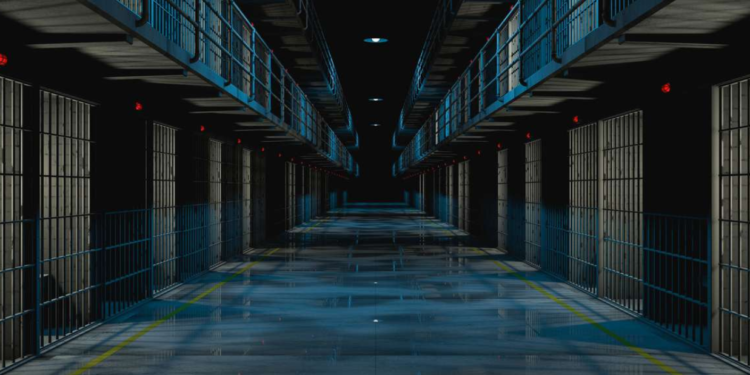 Image Source: d-mars