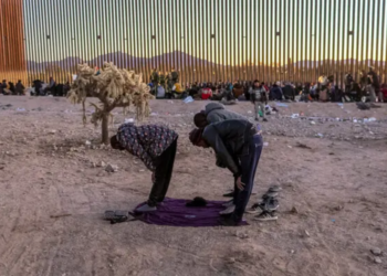 Key findings about Black immigrants in the US