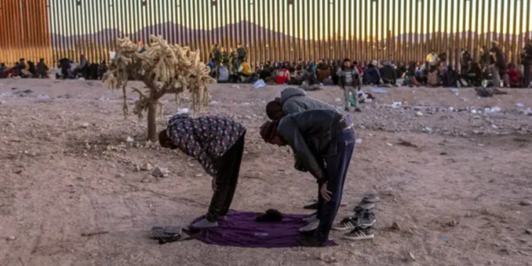 Key findings about Black immigrants in the US