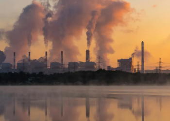 Black seniors three times more likely to die from air pollution, study says