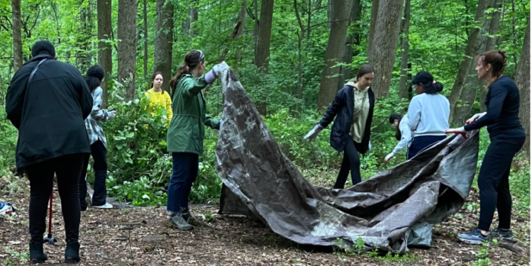 Rockville strives to preserve historic African American cemetery
