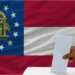 Georgia holds primary elections for local offices