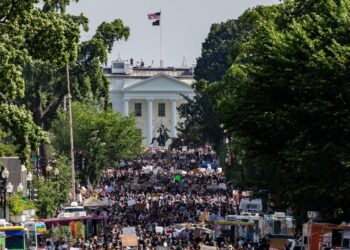 Majority of Black Americans advocate for enhanced US involvement in Gaza conflict resolution and Palestinian protection