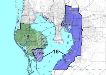 Tampa Bay-area residents say congressional maps ‘dilute’ power of Black voters