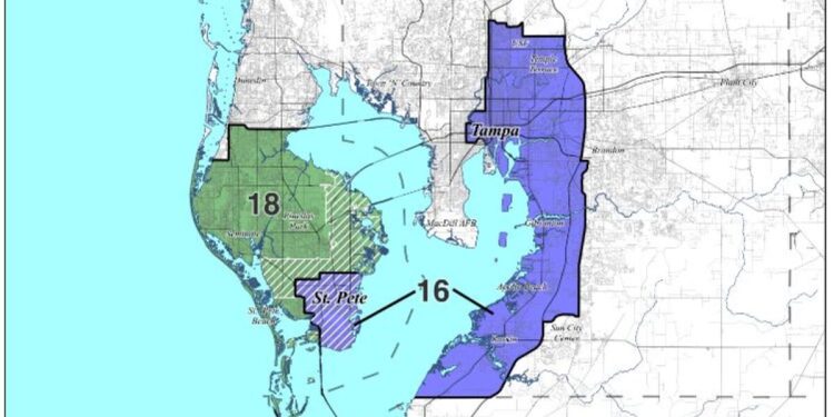 Tampa Bay-area residents say congressional maps ‘dilute’ power of Black voters