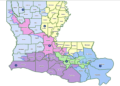 Court invalidates redistricting resulting in ‘Second Black House District’ in Louisiana