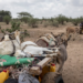 Fragile goats are carried on a cart pulled by donkeys as a Kenyan family departs their home in search of water. The ongoing drought in the northern region has led to severe food and water shortages, pushing pastoralist communities and their livestock to the edge of survival. Photograph by Ed Ram, Getty Images