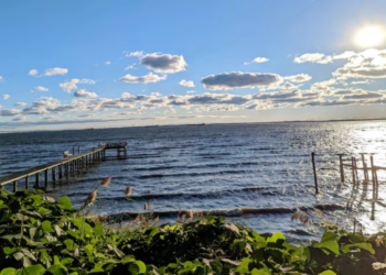 A glimpse of Annapolis Roads, the designated anchorage for ships in the bay. Rick Hutzell / The Baltimore Banner