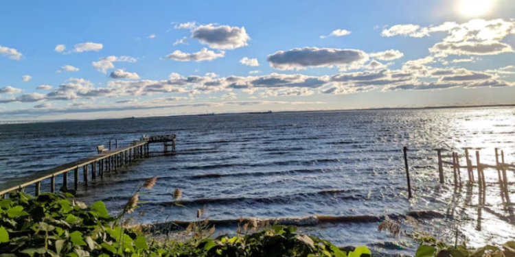 A glimpse of Annapolis Roads, the designated anchorage for ships in the bay. Rick Hutzell / The Baltimore Banner