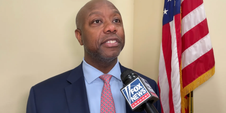 Image Source: FOX News