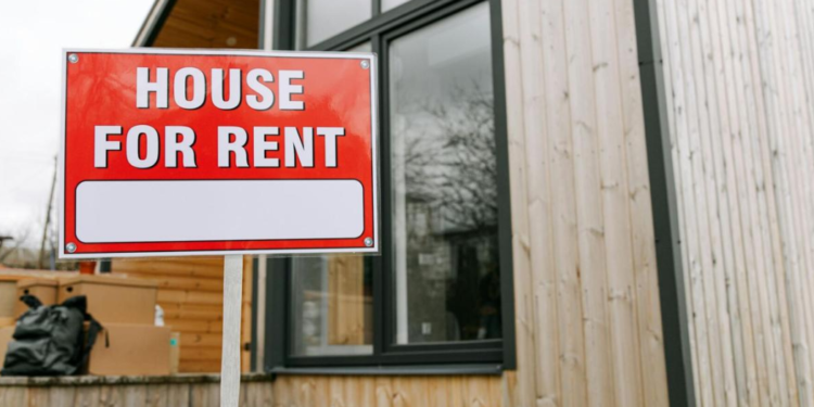 Image Source: Pexels