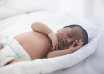 Image Source: Shutter Stock