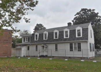 Image Source: The Observer