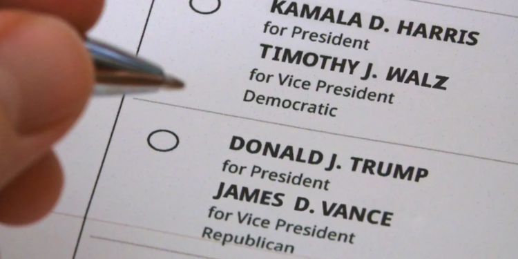 Image Source: Kilmer Media / Shutterstock