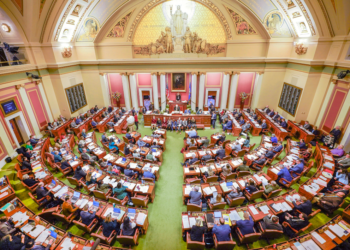 Image Source: Minnesota House of Representative