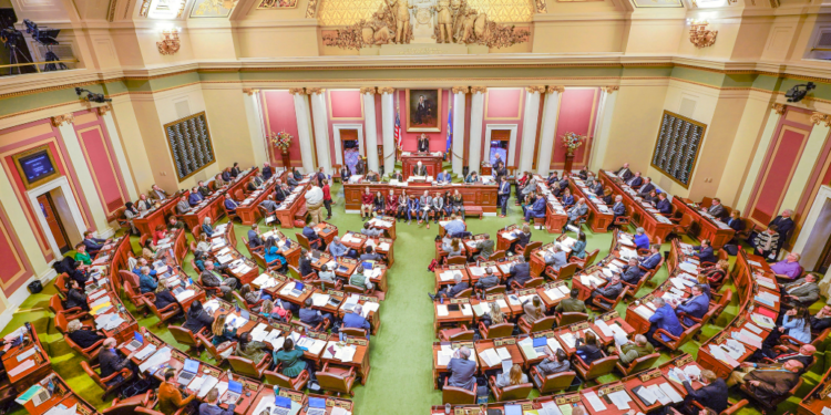 Image Source: Minnesota House of Representative