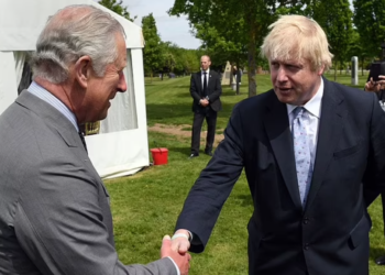 Image Source: Daily Mail