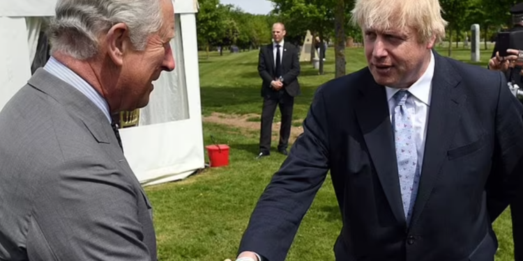 Image Source: Daily Mail