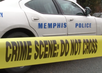 Image Source: News Channel 3 WREG