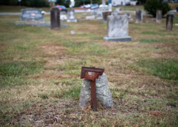 Image Source: Greenville Online