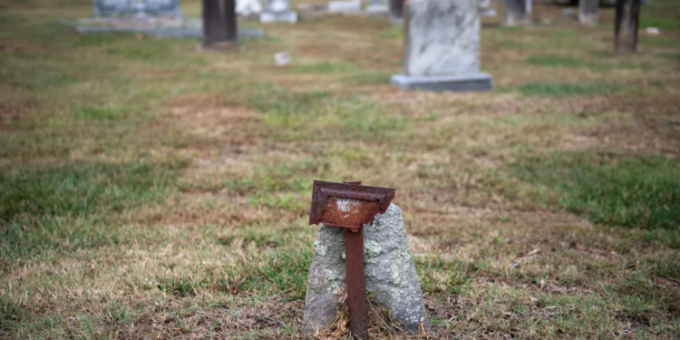 Image Source: Greenville Online