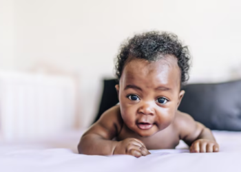 Image Source: FreePik