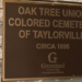 Lifelong Groveland resident Sam Griffin recalls his visits to the Oak Tree Union Colored Cemetery of Taylorville. (Spectrum News)