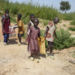 Six-year-old Juliet Samaniya carries a bag of lithium alongside other children at an unauthorized mining site in Paseli, Nigeria, on Tuesday, November 5, 2024. (AP Photo/Sunday Alamba)