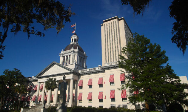 Florida takes aim at Senate redistricting case