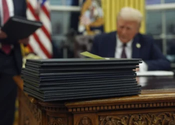 States sue to stop Trump’s order blocking birthright citizenship