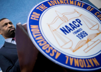 Virginia NAACP Gears Up to Fight Voter Purge Affecting 1,600 Individuals