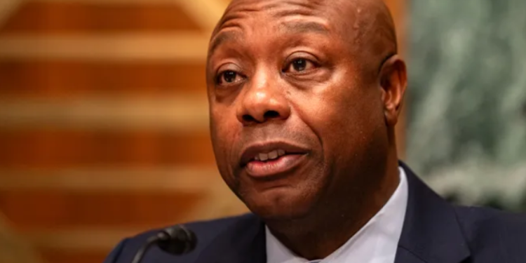 Image Source: Kent Nishimura/Getty Image