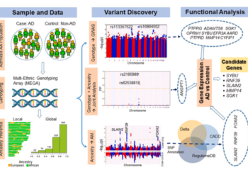 The graphic abstract offers a summary of the findings recently published by Dr. Tesfaye Mersha and his colleagues at Cincinnati Children's.