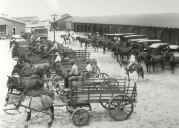 Image Source: Redistricting Black History