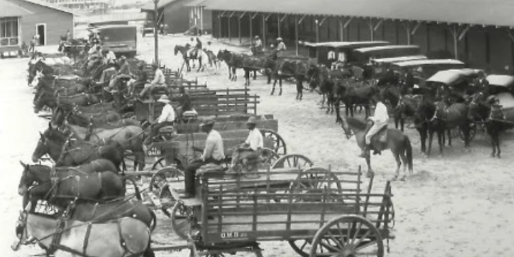 Image Source: Redistricting Black History