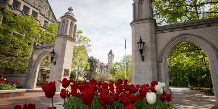 Image Source: IU/EDU