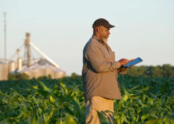 Black farmers face setbacks over Trump budget cuts: ‘We are in survival mode’