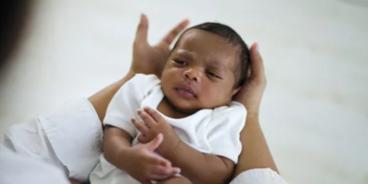 Image Source: POND 5