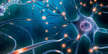 Gettyimages 1216658919 Forweb 1536x1024