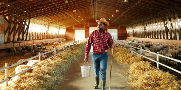 M_Agency/Shutterstock