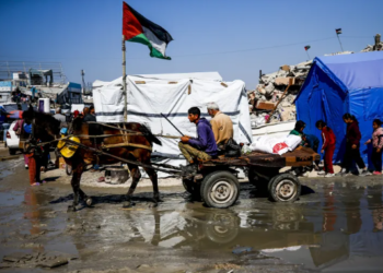 Pollution from accumulated rubbish and various wastes is seen in Jabalia, Gaza, on March 13, 2025. [Mahmoud İssa/Anadolu Agency]
