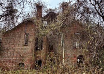 Image Source: NBC News