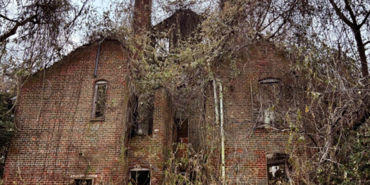 Image Source: NBC News